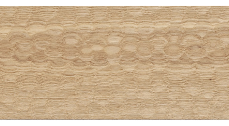 �A�b�V��30�N���A�I�C������W150 �{�H��ʐ^�W