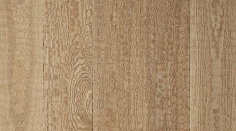 �A�b�V��30�N���A�I�C���E�F�[�uW150 �{�H��ʐ^�W